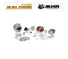 3115390 GRUPPO TERMICO MALOSSI