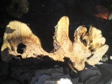 Legno di olivo massello per arredamento e lavori in casa, sculture, tagliere.