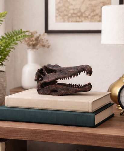 Spinosaurus skull resin - skull,