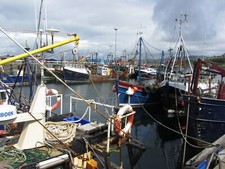 Photo 6x4 Fishing boats in