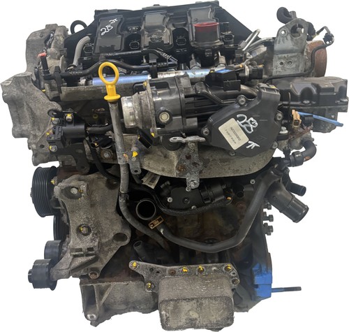 Motore per opel vivaro - motore, 1.6