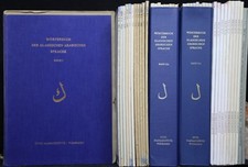 Dizionario della lingua araba - dizionario,
