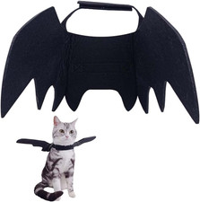 Ali Pipistrello Gatto,Costume