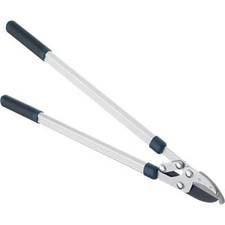 Bulldog Evergreen Compound