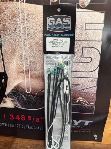 Corde arco gas hoyt - arco,