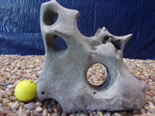 Texas holey rock - 08#,