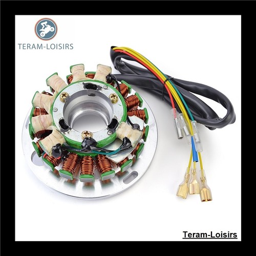 Stator alternateur pour - stator,