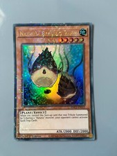 Naturia Bamboo Shoot - Duel