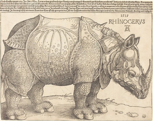 Dürer albrecht il - -,