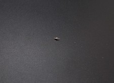 REPLACEMENT PART ORIGINAL