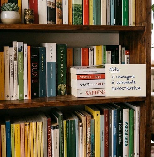Lotto libri sorpresa generi - sorpresa,