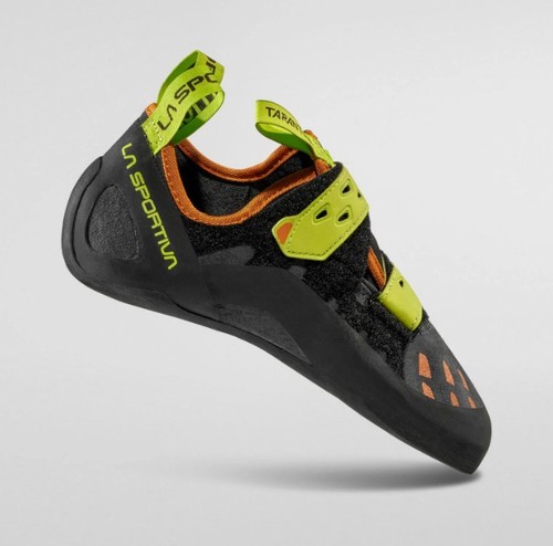 Scarpa sportiva tarantula - la,