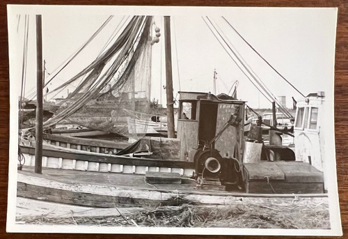 Piccola foto epoca marina - piccola, epoca-marina