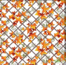 ROTOLO 20 METRI LINEARI