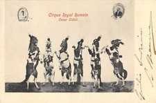 D1069) CIRCO EQUESTRE ROYAL RUMAIN CESAR SIDOLI ESERCIZI CON I CAVALLI VIAGGIATA