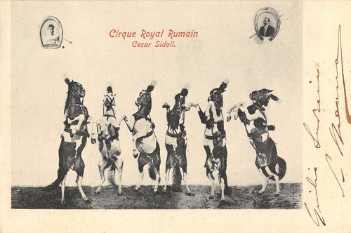 D1069 circo equestre royal - d1069),