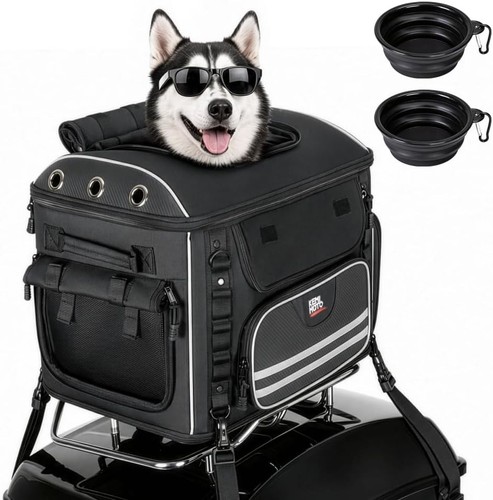 Trasportino per cani moto - trasportino,