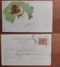 illustrated hunting dog -