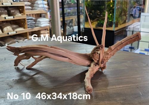 Acquario acquascape - acquario,