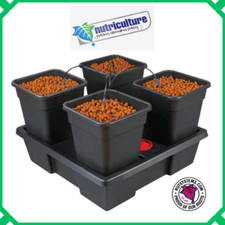 idroponica coltivazione piante