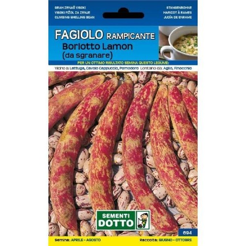Sementi orto fagiolo - -,
