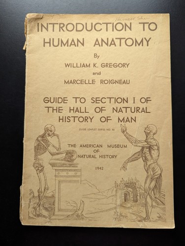 Introduction human anatomy - introduction,