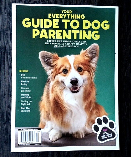 Your everything guide dog - guide,