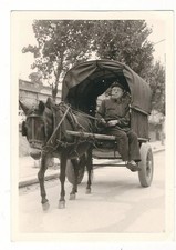 9/134 Foto Zugtier Asino Cavallo ?? Cocchio Pipe Raucher Strasse Fuhrwerk ??