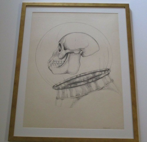 Diana vitale disegno - vitale,
