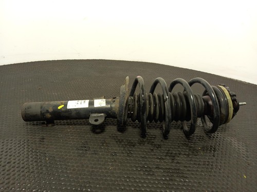 Jaguar type shock - jaguar,