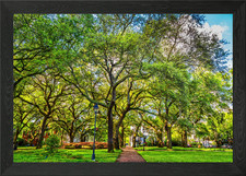 Downtown Savannah Georgia