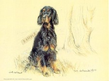 Stampa artistica Gordon Setter