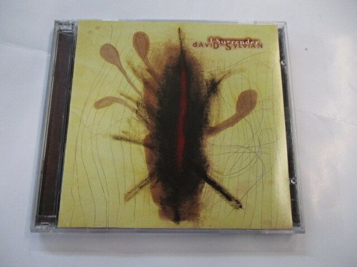 David sylvian i surrender - david,
