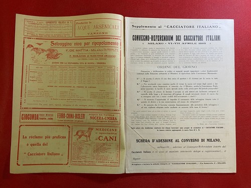Cacciatore italiano - il,