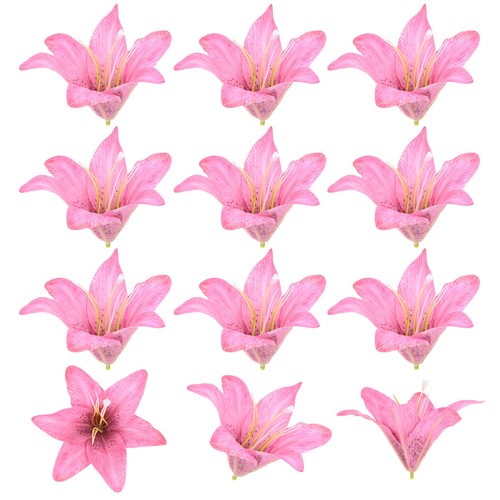Pezzi fiori artificiali - 12,