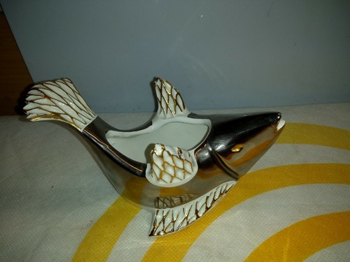 Creation anni pesce - creation,