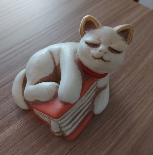 Gatto thun bianco libro - thun,