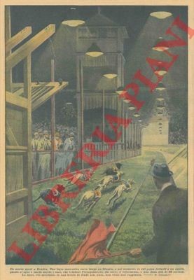 Salvadori un nuovo sport - r.,