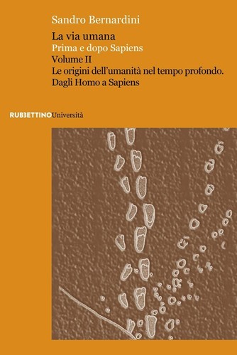 Libro nuovo sandro - libro,
