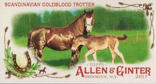 2017 topps allen and - 2017, ginter