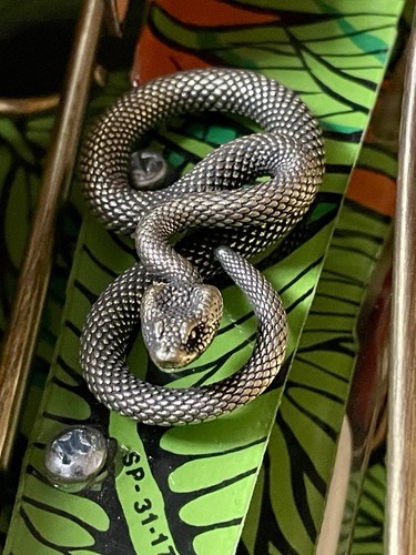 Indiana jones flipper mod - flipper,