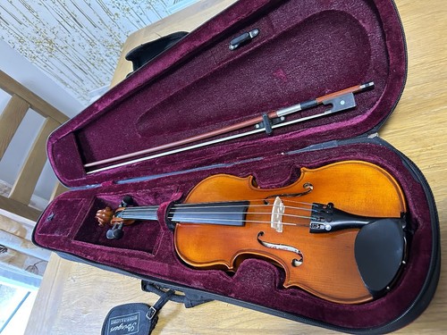 Violino misura primavera - misura,