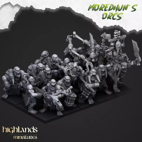 Miniatura higlands orchi - miniatura,