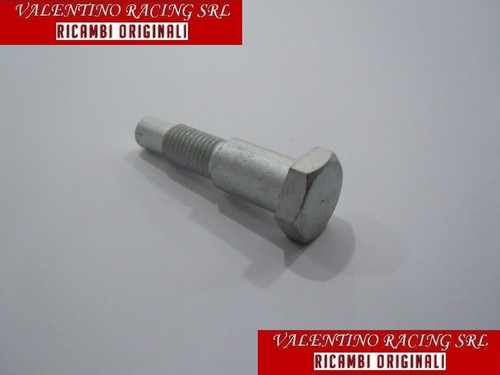 Viite perno aprilia - viite, cavalletto