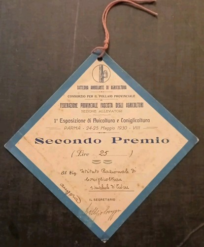 Tessera confederazione - tessera,