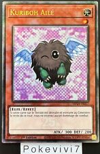 Carte YU-GI-OH! KURIBOH AILE