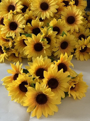 Cespugli girasole seta - di,