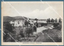 COLOGNOLE, Livorno. Panorama