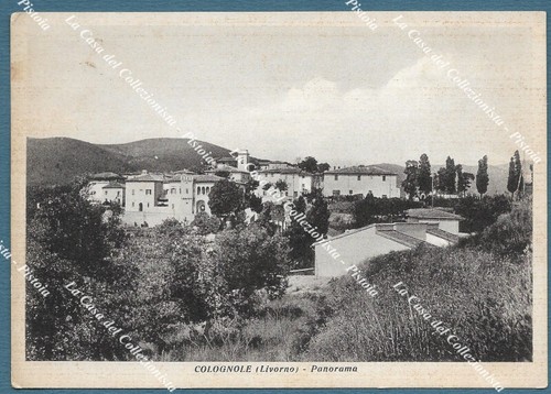 Colognole livorno panorama - livorno.,