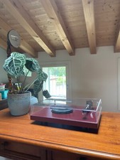 Giradischi Pro-Ject Debut Evo 2 Satin Wine Red Nuovo Mai Usato In Garanzia